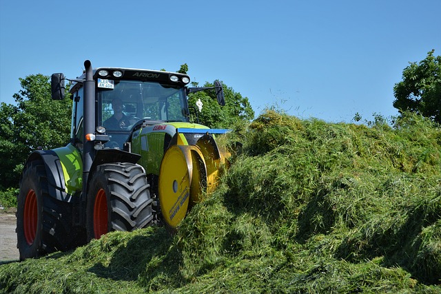 Claas